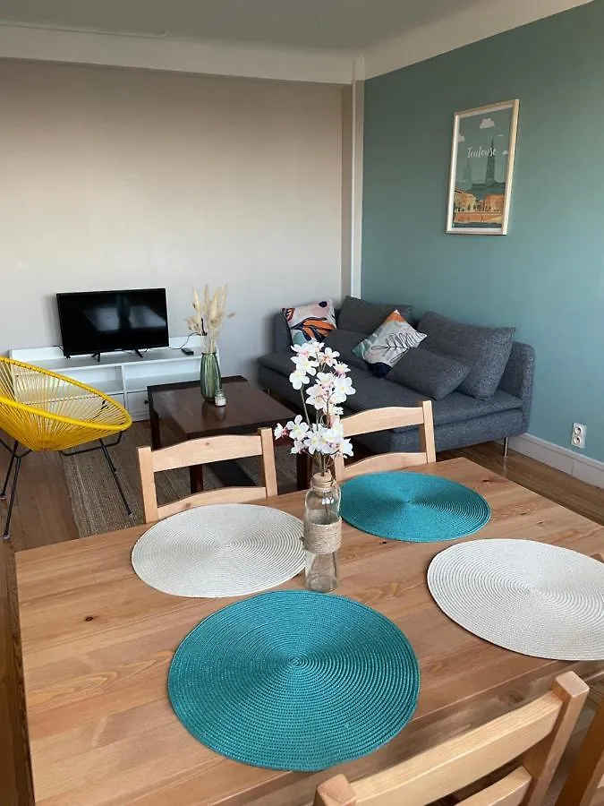 Les Toits De Toulouse - T3 & Garage Apartment